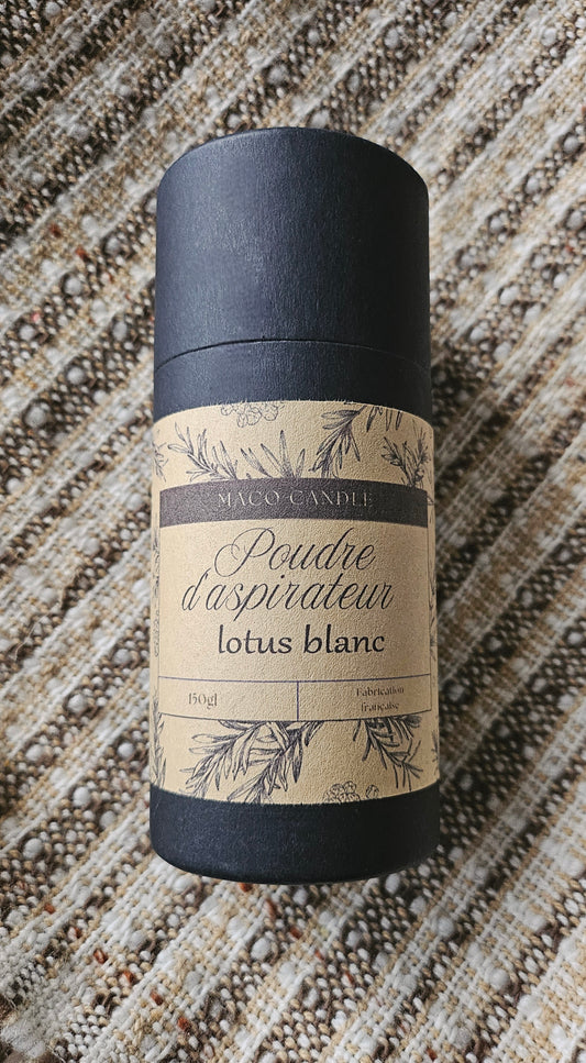 Poudre d'aspirateur